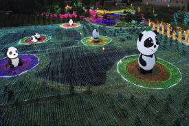 蘭州野生動物園熊貓光影之夜盛夏開啟306.png